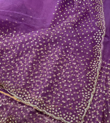 Glass tissue saree with intricate silver samosa handwork and scalloped sequin border, available in elegant pastel and jewel-tone shades