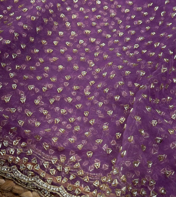 Glass tissue saree with intricate silver samosa handwork and scalloped sequin border, available in elegant pastel and jewel-tone shades