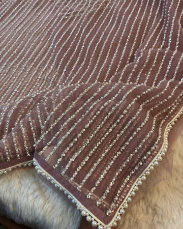 Premium net saree with linear sequin embroidery and pearl lace border in multiple colors