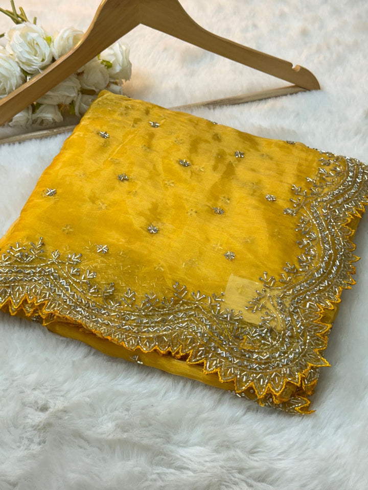 Dolchi Mausam Tissue Saree with Sequin & Cutdana Embroidery – Jyoti Sarees