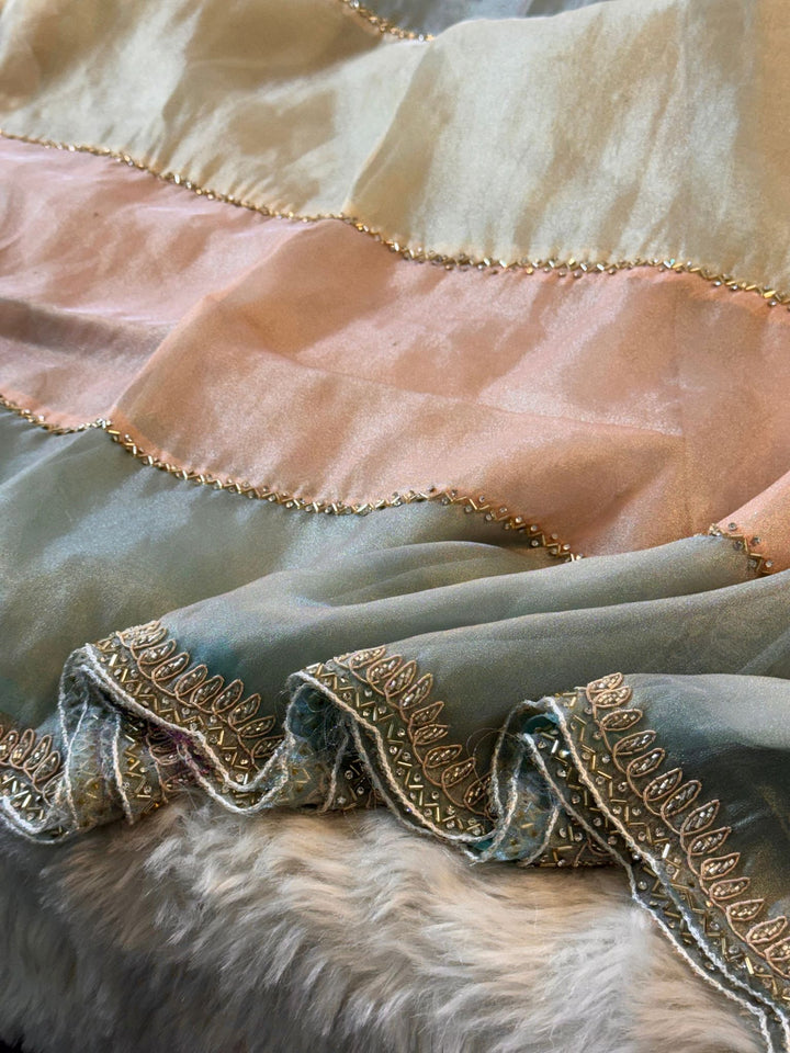 ✨Multicolor Tissue Saree with Hand Zardosi Embroidery & Peacock Motif