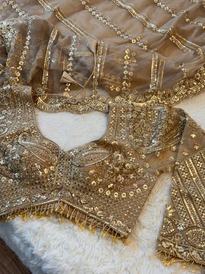✨ Golden Glow Net Saree with Readymade Heavy Blouse