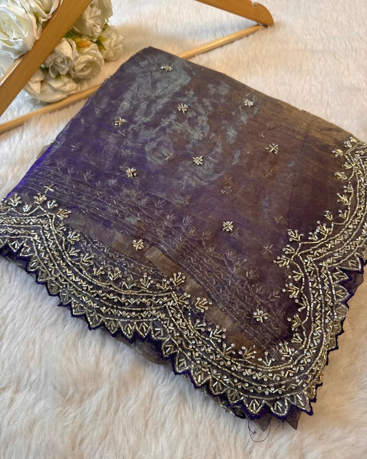 Dolchi Mausam Tissue Saree with Sequin & Cutdana Embroidery – Jyoti Sarees