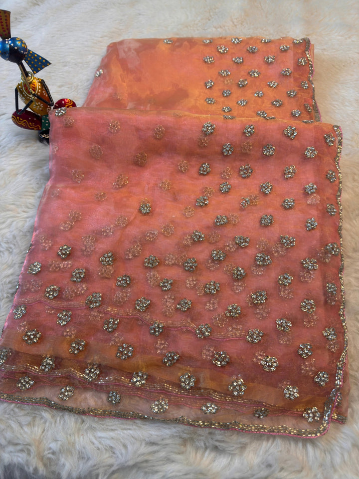 Dolchi Tissue Saree with Crystal Floral Butti & Scalloped Border
