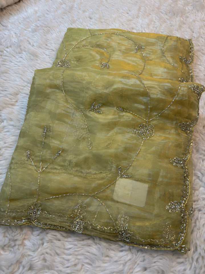 Dolchi Tissue Saree with Floral Hand Embroidery & Designer Border