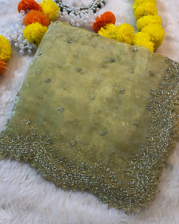 Dolchi Mausam Tissue Saree with Sequin & Cutdana Embroidery – Jyoti Sarees