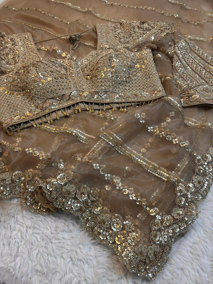 ✨ Golden Glow Net Saree with Readymade Heavy Blouse