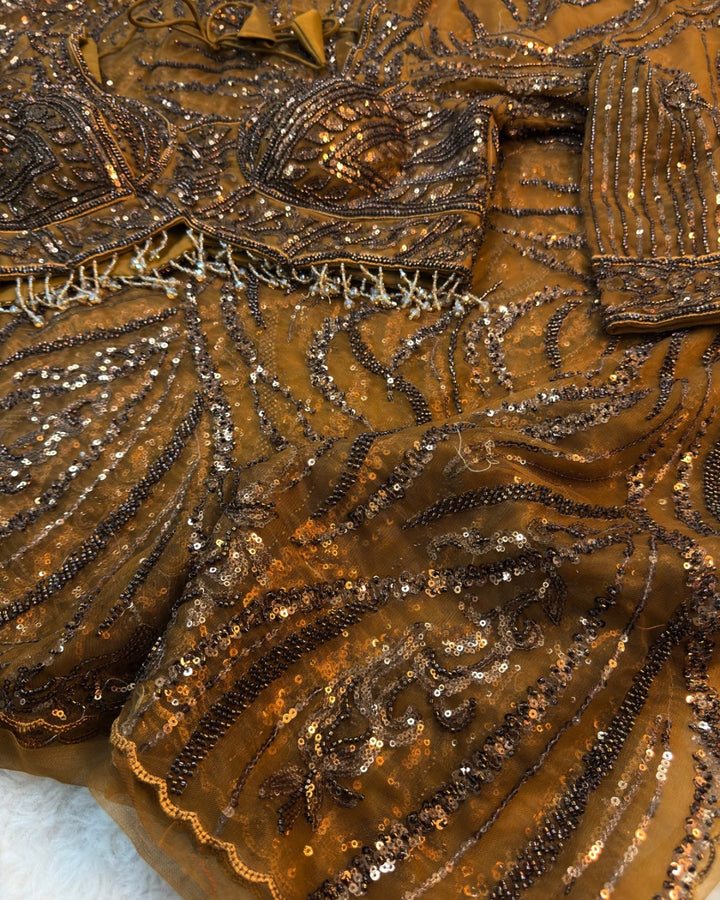 Antique Brown Designer Net Saree with Heavy Sequin & Cutdana Work