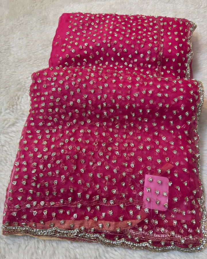 Glass Tissue Saree with All-Over Samosa Handwork
