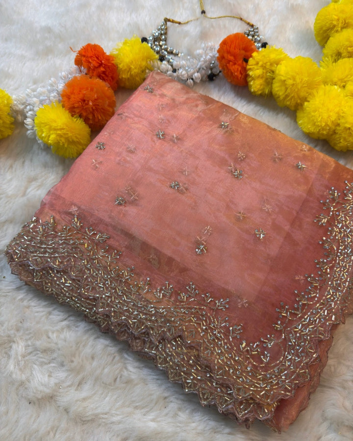 Dolchi Mausam Tissue Saree with Sequin & Cutdana Embroidery – Jyoti Sarees