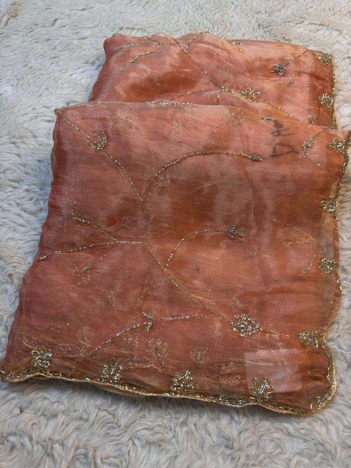 Dolchi Tissue Saree with Floral Hand Embroidery & Designer Border