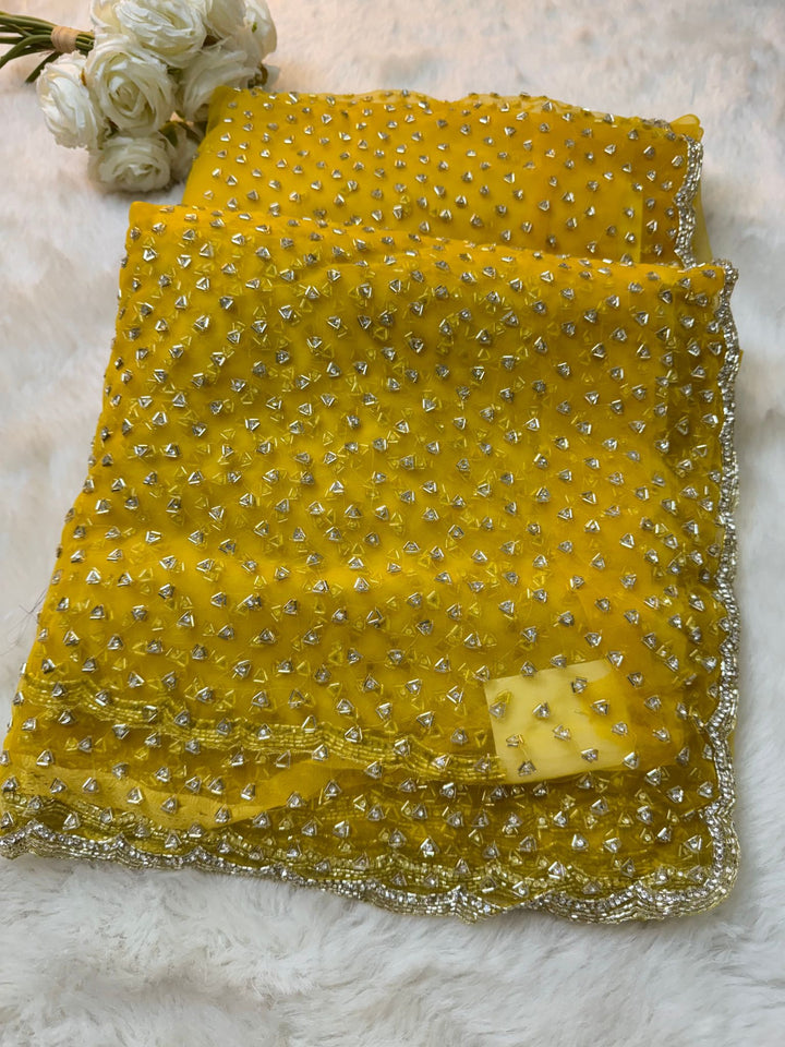 Glass Tissue Saree with All-Over Samosa Handwork